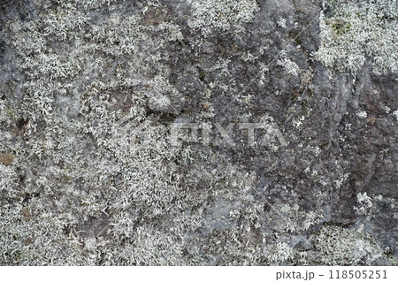 溶岩石の表面、質感、岩肌 118505251