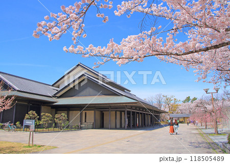 愛知県名古屋市、名古屋能楽堂と満開の桜の風景 愛知県名古屋市、名古屋能楽堂と満開の桜の風景 118505489