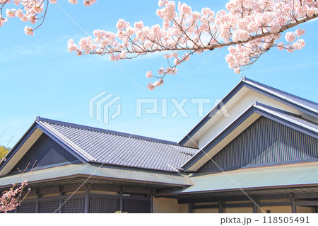 愛知県名古屋市、名古屋能楽堂と満開の桜の風景 愛知県名古屋市、名古屋能楽堂と満開の桜の風景 118505491
