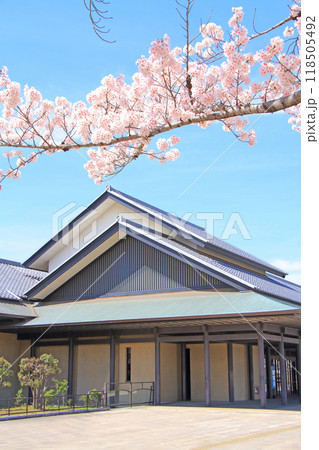 愛知県名古屋市、名古屋能楽堂と満開の桜の風景 118505492