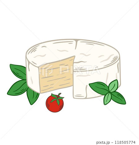 Camembert cheese with sprig of basil and cherry tomato 118505774
