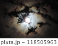 雲から覗く月 118505963