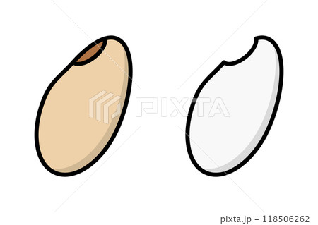 玄米と白米 118506262