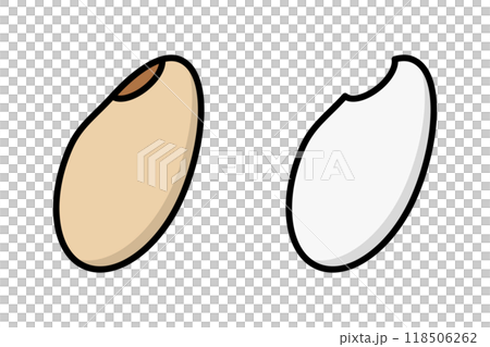 玄米と白米 118506262