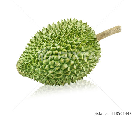 King of fruits, durian isolated on white background King of fruits, durian isolated on white background 118506447