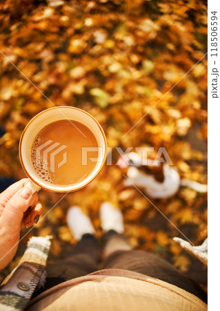 Autumn mood. Top view of a female figure with a mug of coffee against the background of fallen orange leaves, a pumpkin and a dog 118506594