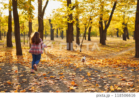 Happy joyful little girl playing with her funny Jack Russell Terrier in beautiful autumn forest, child playing and having fun with dog during walk in nature. Children and pets outdoors 118506616