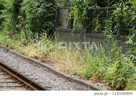 線路脇 線路脇 118506804
