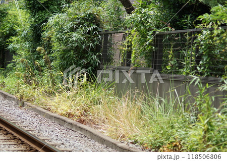 線路脇 線路脇 118506806