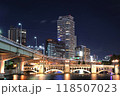 水晶橋と阪神高速の夜景 118507023