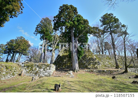 奈良県　大和国「高取城」本丸の石垣と曲輪の様子 118507155