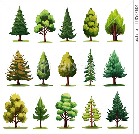 Forest evergreen tree vector set. Conifer woodland illustrations Forest evergreen tree vector set. Conifer woodland illustrations 118507604