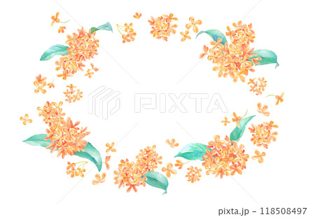 晩夏の花。金木犀（キンモクセイ）の水彩イラストで構成した