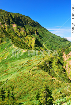 新潟県＆長野県・神楽ヶ峰から見る苗場山 118508833