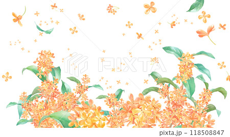 晩夏の花：キンモクセイの水彩イラスト。香りのイメージのバナー背景。装飾フレーム。 118508847