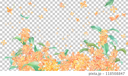 晩夏の花：キンモクセイの水彩イラスト。香りのイメージのバナー背景。装飾フレーム。 118508847