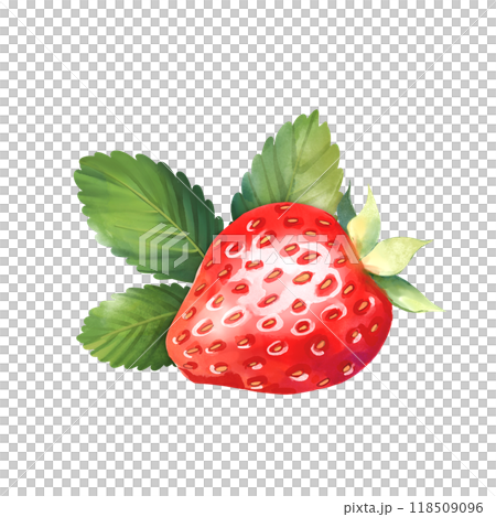 Strawberry illustration on white background 118509096