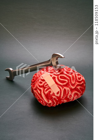 Wrench on top of a red human brain. Wrench on top of a red human brain. 118509153