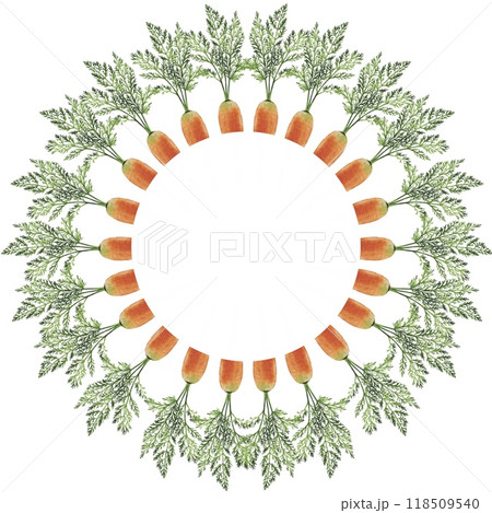 Round frame, carrot wreath 118509540