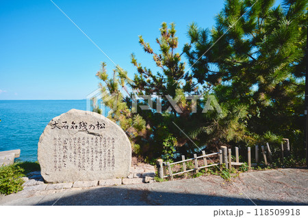大石名残の松 大石名残の松 118509918