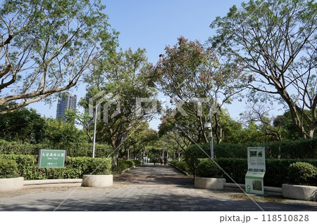 大安森林公園(台湾・台北市大安区) 大安森林公園(台湾・台北市大安区) 118510828