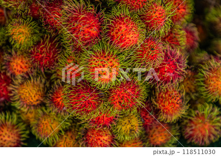 view of a bunch of red, yellow and green rambutan fruits with the spiky skin. view of a bunch of red, yellow and green rambutan fruits with the spiky skin. 118511030