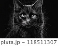 黒い背景の黒い猫のイラスト 118511307