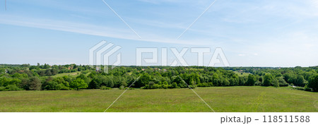 Green grass and forest with beautiful sky in summer. Green grass and forest with beautiful sky in summer. 118511588
