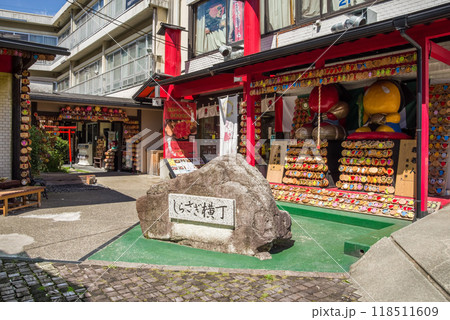 下呂温泉街・しらさぎ横丁（岐阜県） 118511609