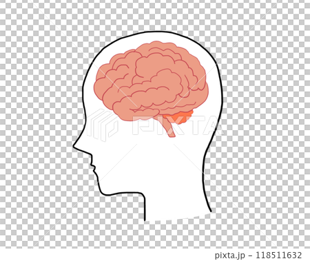 Illustrated brain and human profile Illustrated brain and human profile 118511632