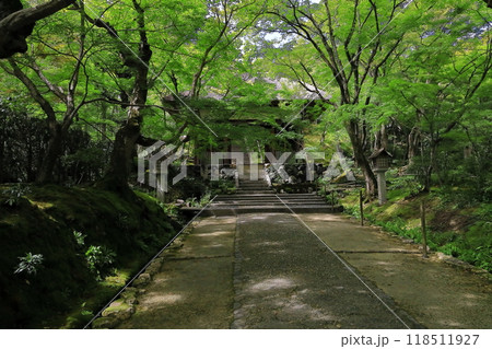 京都常寂光寺 118511927
