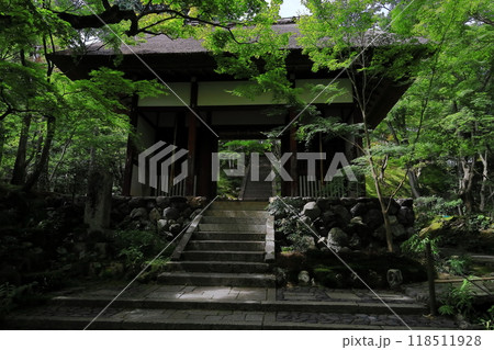 京都常寂光寺 118511928