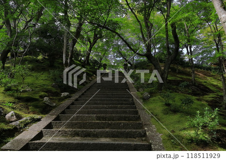 京都常寂光寺 118511929