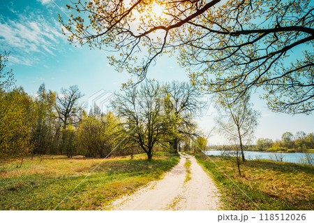 Spring Season In Park. Green Young Grass, Trees On Blue Sky Background 118512026