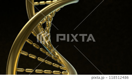 The Gold Dna in black background  for sci or medical concept 3d rendering. 118512486
