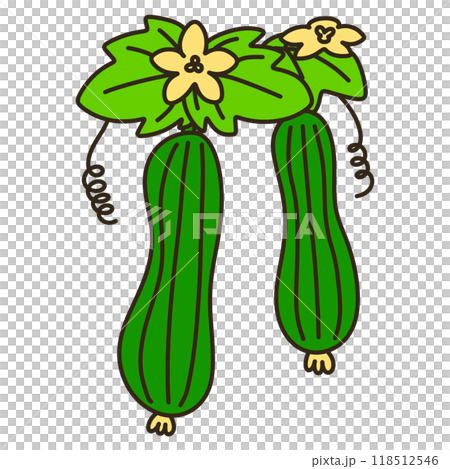 Loofah 118512546