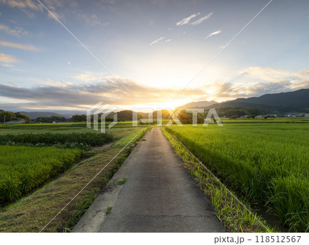 朝日が昇る明日香村の風景 朝日が昇る明日香村の風景 118512567