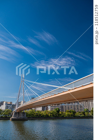 大川（旧淀川）に架かる斜張橋　川崎橋　大阪市 118512759