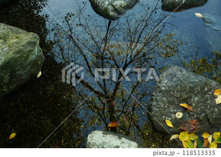 清水の池に映る木と浮き上がる様に見える岩の写真素材 [118513335] - PIXTA