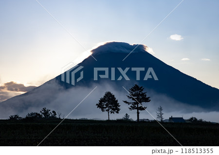 双子の樹と羊蹄山 双子の樹と羊蹄山 118513355