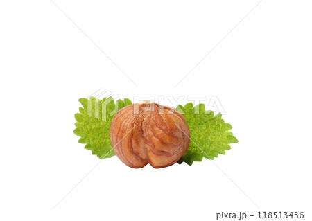 PNG, Peeled whole hazelnut and leaves, isolated on white background PNG, Peeled whole hazelnut and leaves, isolated on white background 118513436