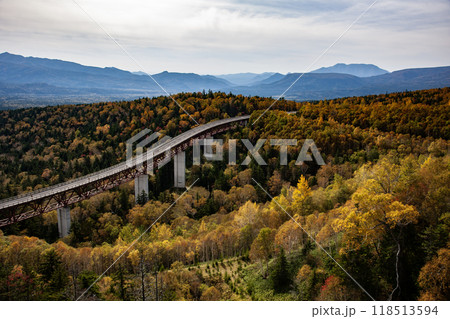 大雪山を横切る松見の大橋 118513594