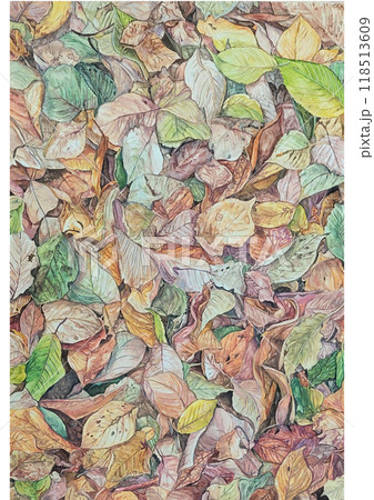 様々な色をした秋を感じさせる落ち葉のリアルな背景イラスト 様々な色をした秋を感じさせる落ち葉のリアルな背景イラスト 118513609