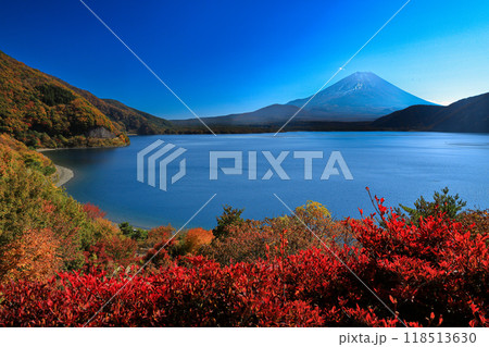 錦秋の本栖湖から望む富士山　山梨県 118513630