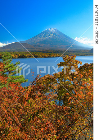 錦秋の本栖湖から望む富士山 山梨県 錦秋の本栖湖から望む富士山 山梨県 118513634