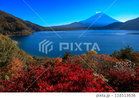 錦秋の本栖湖から望む富士山　山梨県 118513636