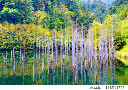 紅葉に包まれた幻想的な自然湖 118513725