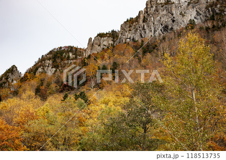 見上げる層雲峡の絶景紅葉 見上げる層雲峡の絶景紅葉 118513735