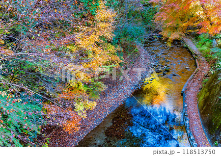 東京 紅葉に染まる秋川渓谷　養沢川 118513750