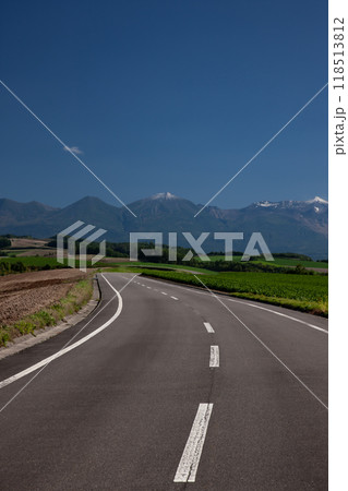 無電柱化の道 無電柱化の道 118513812